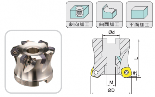 ASRF4 (Shell)